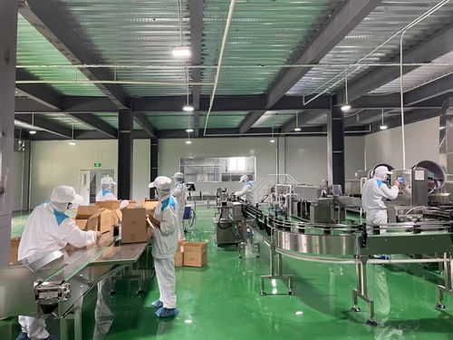 广元青川 做优特色农产品精深加工 推动生态工业高质量发展