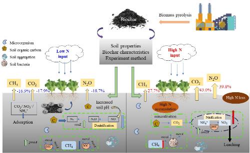 生物炭调节蔬菜生产系统固碳减排研究获进展